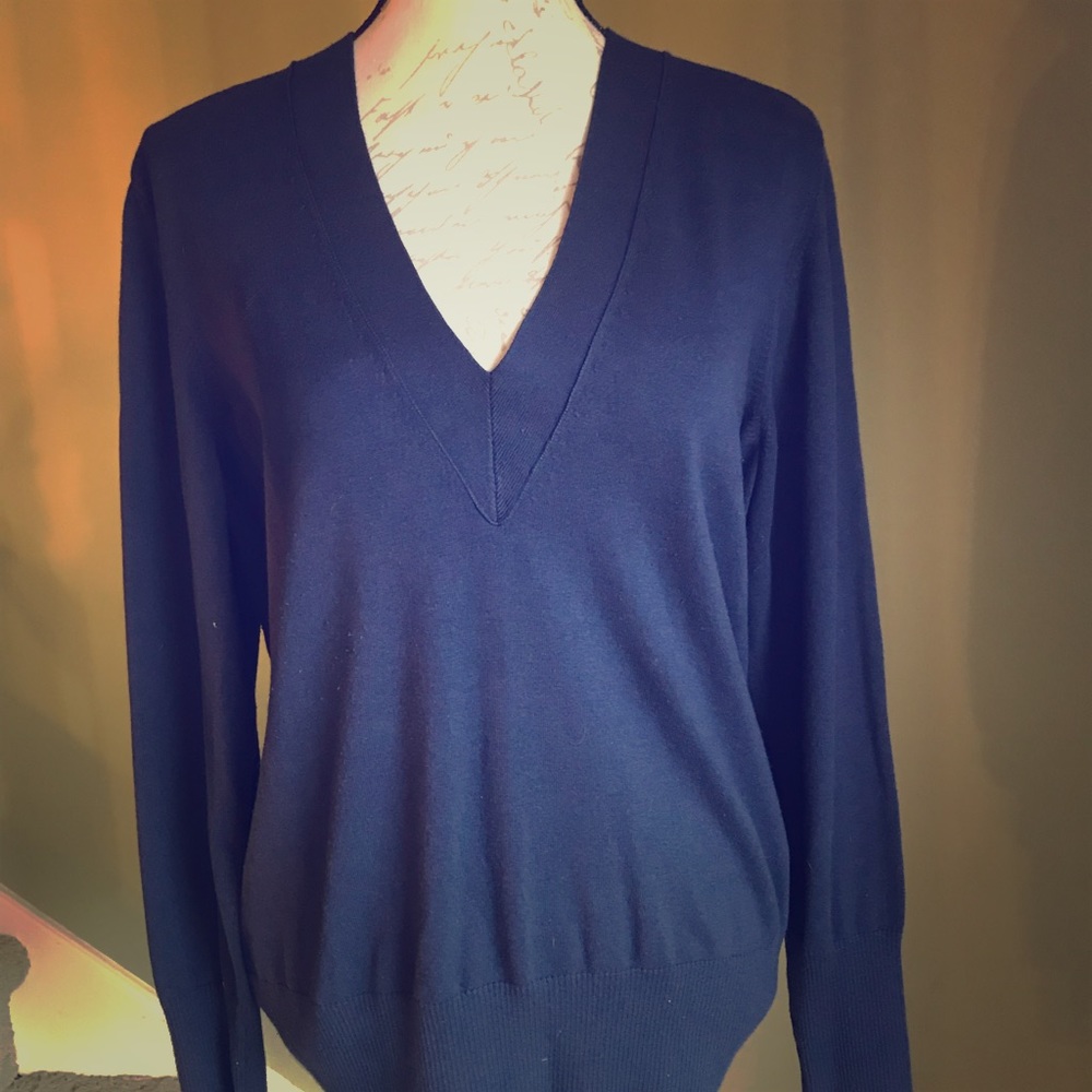 Banana Republic Navy V-Neck Sweater